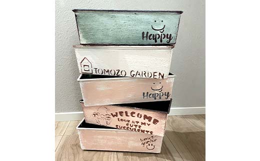 癒しの多肉植物３苗＆インテリアに合う飾れるオリジナルリメイク缶 F6U-055