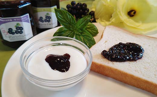 アントシアニンが豊富！ ガーデンハックルベリージャム セット 250g×2種 （ピューレタイプ、皮・種タイプ） F6U-288