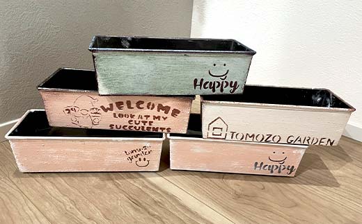 癒しの多肉植物３苗＆インテリアに合う飾れるオリジナルリメイク缶 F6U-055