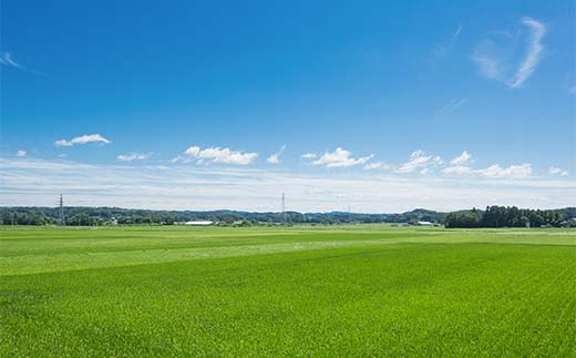 矢吹町 やぶきまち応援寄附金 8,000円 【返礼品なし】 F6U-316