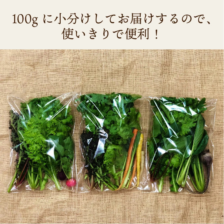 都内マルシェで人気のお野菜！ サラダに最適！葉野菜とミニ根菜のセット 5袋 F6U-132