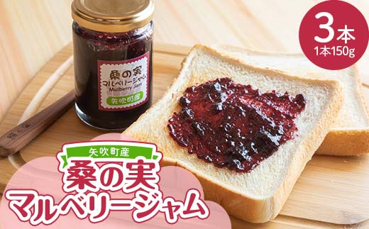 福島県 矢吹町産 桑の実マルベリージャム3本セットF6U-139
