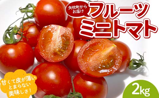 プチっと甘みがはじける！とにかく美味しい フルーツミニトマト 2kg（1kg×2） おやつやビールのおつまみにも！ F6U-169