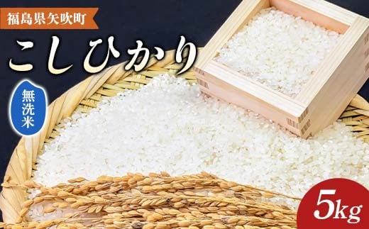 【先行予約】 令和7年産〈無洗米〉 福島県矢吹町の美味しいこしひかり 5kg コシヒカリ コメ 米 F6U-333