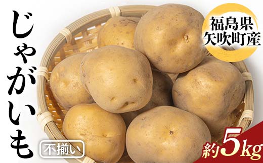 不揃いじゃがいも（品種トウヤ）約5kg ジャガイモ 訳あり 規格外 福島県 矢吹町産 F6U-341
