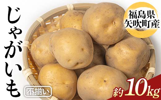 不揃いじゃがいも（品種トウヤ）約10kg ジャガイモ 訳あり 規格外 福島県 矢吹町産 F6U-342