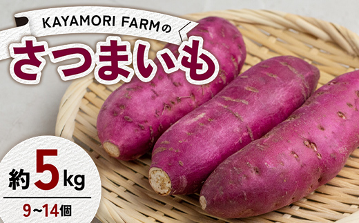 KAYAMORI FARMのさつまいも 約5kg（9～14個） F6U-374
