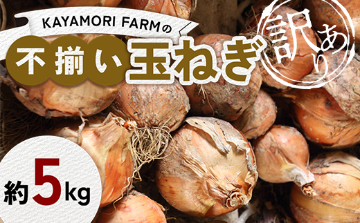 KAYAMORI FARMの不揃い玉ねぎ 約5kg 訳アリ玉ねぎ F6U-377