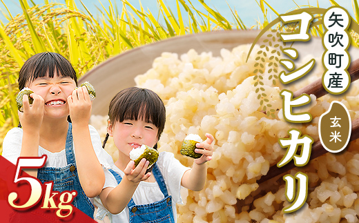 矢吹町産 コシヒカリ 令和7年産米 玄米5kg F6U-403