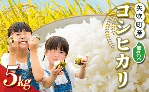 矢吹町産 コシヒカリ 令和7年産米 無洗米 5kg F6U-406