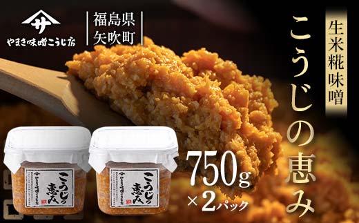 糀が生きてる生米糀味噌「こうじの恵み」1.5kg F6U-074