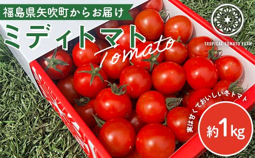 トロピカルトマトファームの「ミディトマト」約1kg F6U-112