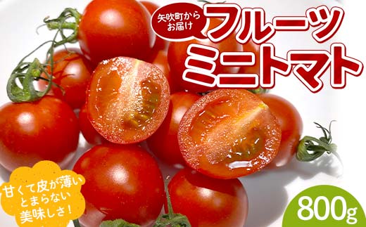 プチっと甘みがはじける！とにかく美味しい フルーツミニトマト 800g おやつやビールのおつまみにも！ F6U-143