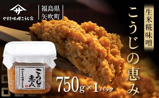 糀が生きてる生米糀味噌「こうじの恵み」750g F6U-018