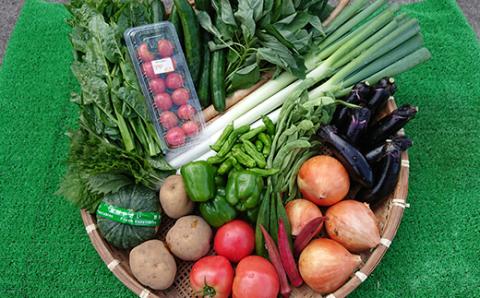 FT18-257 季節の産直売場の野菜と果物詰め合わせ（大）