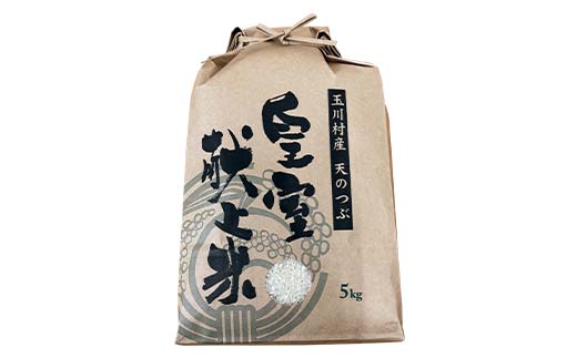 FT18-274 令和7年度産 新米 天のつぶ 5kg 福島県玉川村産 こめ コメ オリジナルブランド米