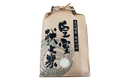 FT18-275 令和7年度産 新米 玉川天のつぶ 10kg 福島県玉川村産 こめ コメ オリジナルブランド米