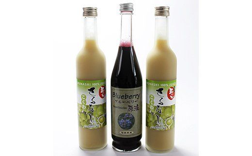 FT18-184　さるなし・ブルーベリージュース
