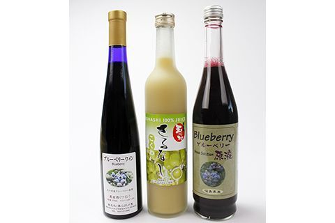 FT18-183 【道の駅たまかわ】さるなし・ブルーベリーギフトセット