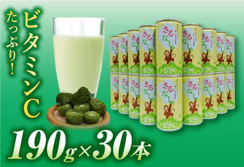 玉川村特産 さるなしドリンク 30本