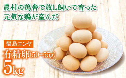 FT18-221 玉川村産 有精卵50～55g 90玉（割れ保証10玉含む） 栄養満点 タマゴ 玉子 エッグ 国産 オムレツ TKG 温泉卵