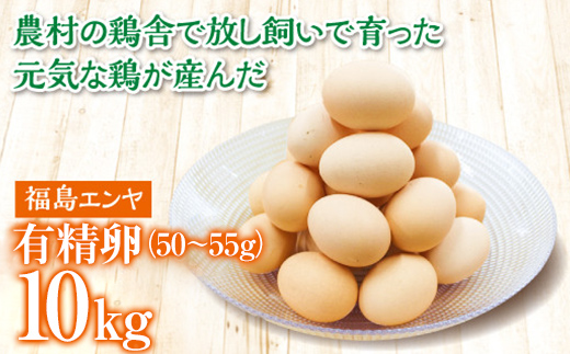 FT18-222 玉川村産 有精卵50～55g 180玉（割れ保証20玉含む） 栄養満点 タマゴ 玉子 エッグ 国産 オムレツ TKG 温泉卵