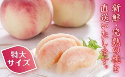 FT18-255 ＜先行予約＞ 令和7年産 【玉川村 こぶしの里】 契約栽培 桃特大サイズ 約11～16玉（5kg相当） もも モモ 果物 フルーツ デザート