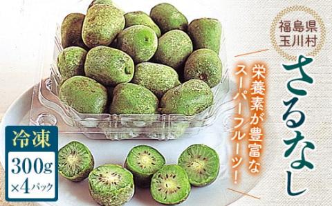 FT18-259 ＜先行予約＞ さるなし 冷凍 1.2kg ベビーキウイ こくわ スーパーフルーツ 福島県 玉川村