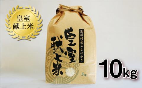 FT18-267 玉川村産コシヒカリ 10kg コシヒカリ 米 お米 ブランド米 銘柄米 備蓄 日本米 こしひかり コメ ごはん ご飯 食品