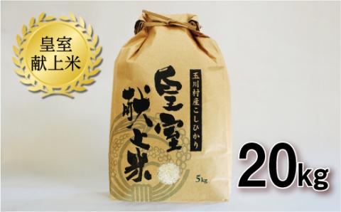 FT18-269 玉川村産コシヒカリ 20kg コシヒカリ 米 お米 ブランド米 銘柄米 備蓄 日本米 こしひかり コメ ごはん ご飯 食品