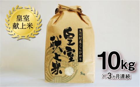 FT18-272 【3ヶ月連続】玉川村産コシヒカリ 10kg コシヒカリ 米 お米 ブランド米 銘柄米 備蓄 日本米 こしひかり コメ ごはん ご飯 食品