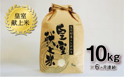 FT18-273 【6ヶ月連続】玉川村産コシヒカリ 10kg コシヒカリ 米 お米 ブランド米 銘柄米 備蓄 日本米 こしひかり コメ ごはん ご飯 食品