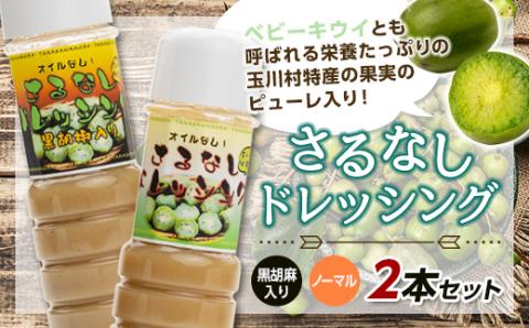 FT18-229 ノンオイルさるなしドレッシング2本セット