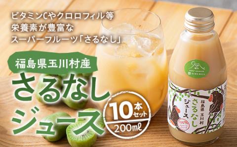 FT18-227 日本の極み　福島県玉川村産さるなしジュース10本セット