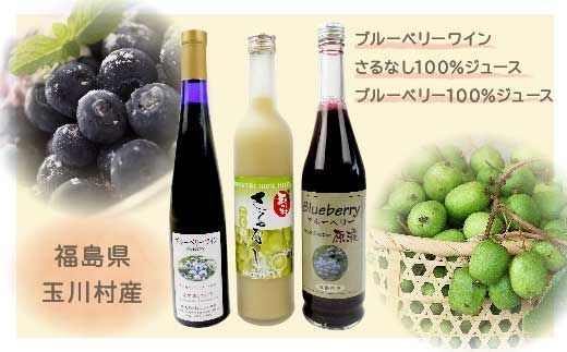 FT18-183 【道の駅たまかわ】さるなし・ブルーベリーギフトセット