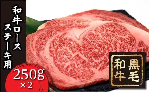 FT18-200　「いしかわ牛」和牛ロース肉
