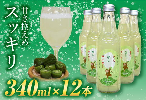 玉川村特産 さるなしサイダー 12本