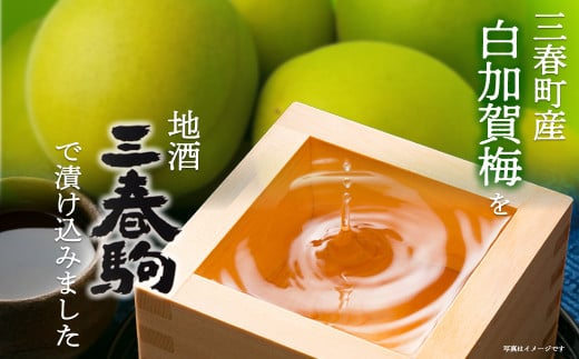 三春駒の梅酒　【07521-0120】