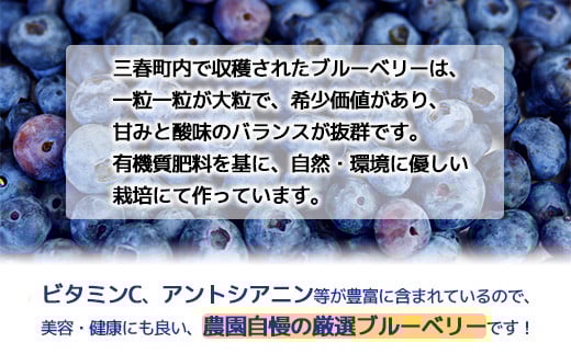 三春ブルーベリー 250g×2パック／計500g 【2026年6月下旬発送】【期間限定 三春町産 生ブルーベリー 大粒 冷蔵 福島県 三春町 三春ブルーベリー倶楽部 有機質肥料 果物 国産 フルーツ 果実 旬 お中元 夏 ギフト プレゼント 贈り物 贈答 自宅用】【07521-0133】