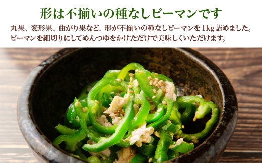 【先行予約】不揃い種なしピーマン（ＳＳサイズ）1kg【2026年7月発送】　【07521-0139】