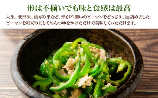 【先行予約】訳ありピーマン　1kg【2026年7月発送】　【07521-0140】