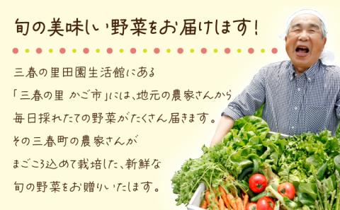 【旬の野菜】三春町産野菜の詰合せ　【07521-0007】