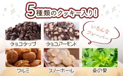 Mon amiクッキー缶【07521-0093】