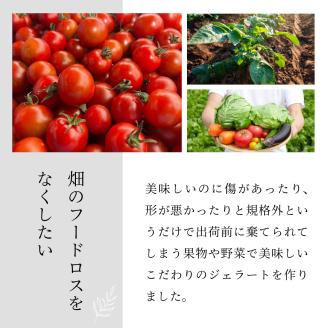 三春産クラフトジェラート詰め合わせ12個【07521-0099】