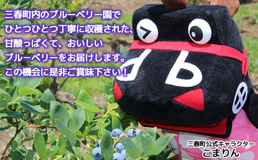 三春ブルーベリー 500g×2パック／計1kg 【2026年6月下旬発送】【期間限定 三春町産 生ブルーベリー 大粒 冷蔵 福島県 三春町 三春ブルーベリー倶楽部 有機質肥料 果物 国産 フルーツ 果実 旬 お中元 夏 ギフト プレゼント 贈り物 贈答 自宅用】【07521-0103】