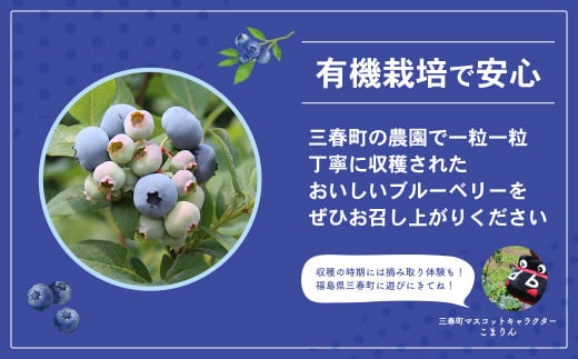 【訳アリ】三春冷凍ブルーベリー 1kg×1袋【三春町産 冷凍ブルーベリー 大粒 福島県 三春町 三春ブルーベリー倶楽部 有機質肥料 果物 国産 フルーツ 果実 自宅用】【07521-0109】