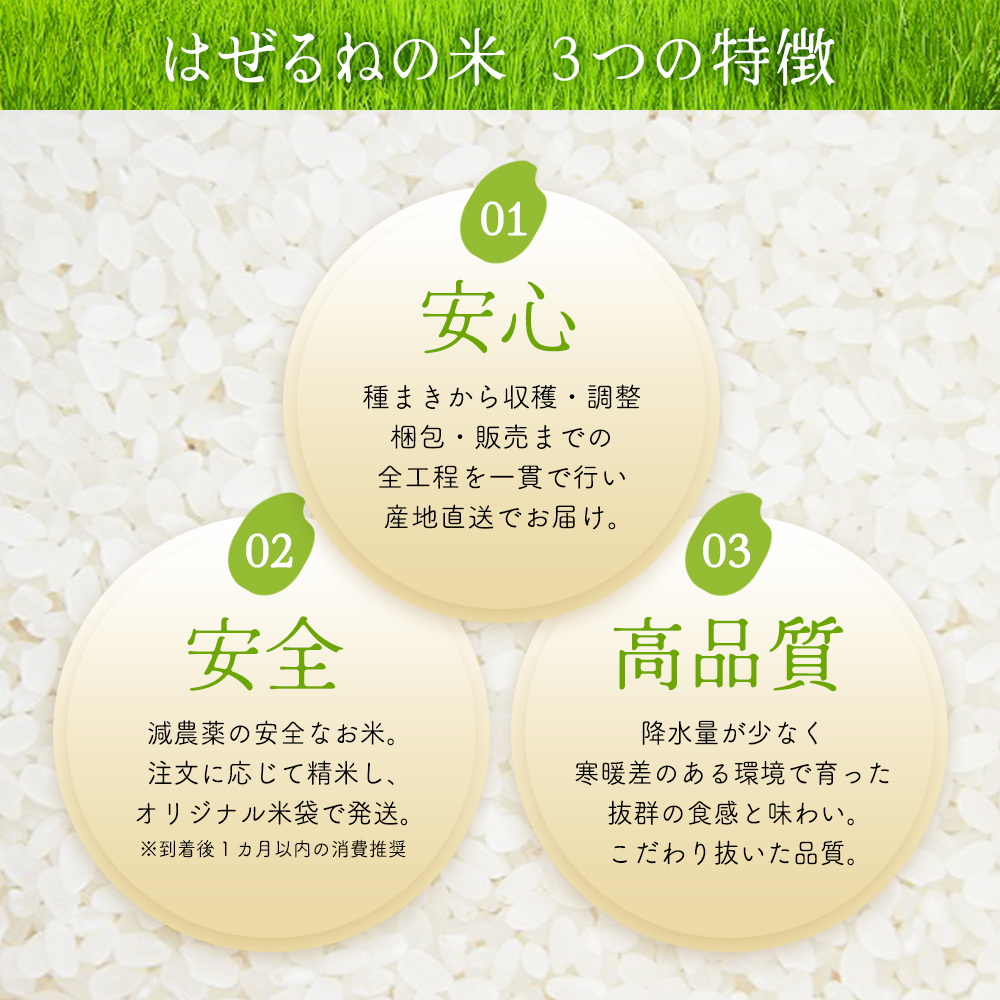 【令和7年産】三春町産コシヒカリ5kg　＜はぜるねの米＞　【07521-0111】