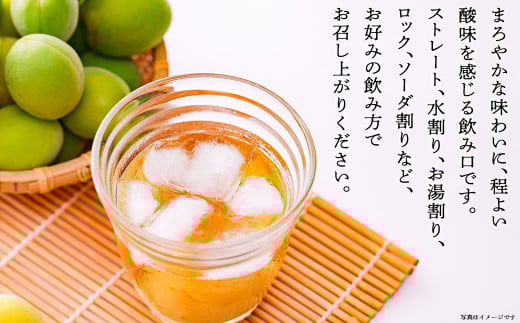 三春駒の梅酒　【07521-0120】