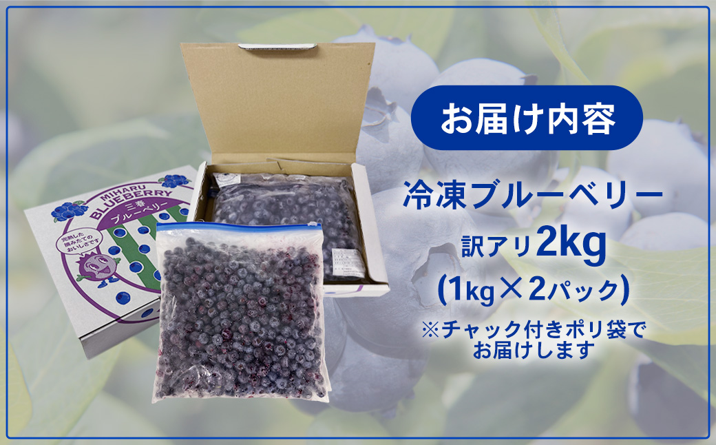 【訳アリ】三春冷凍ブルーベリー 1kg×2袋／計2kg【三春町産 冷凍ブルーベリー 大粒 福島県 三春町 三春ブルーベリー倶楽部 有機質肥料 果物 国産 フルーツ 果実 旬】　【07521-0110】