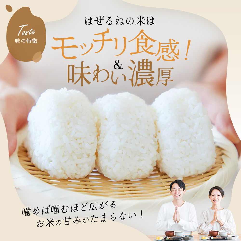 【令和7年産】三春町産コシヒカリ10kg　＜はぜるねの米＞　【07521-0112】